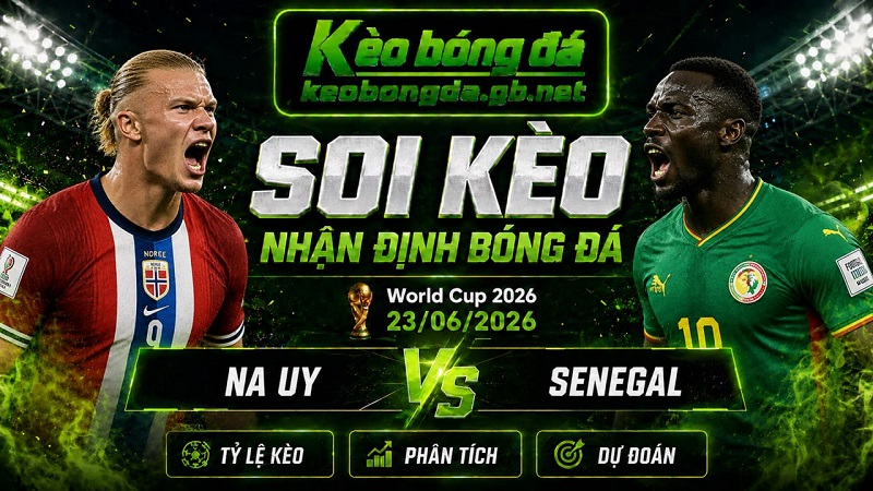 Đội hình dự kiến trước trận Na Uy và Senegal